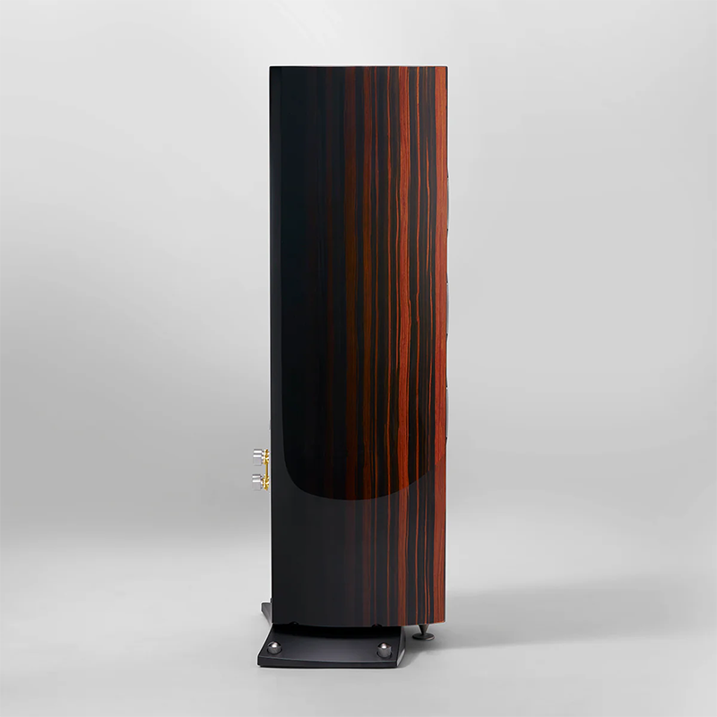 Triangle Magellan Cello 40th