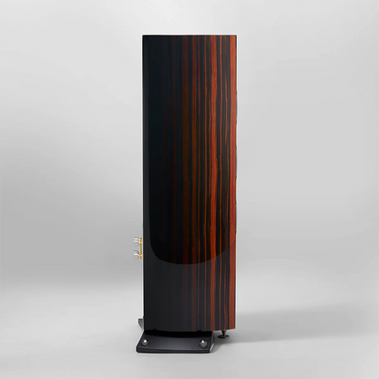 Triangle Magellan Cello 40th