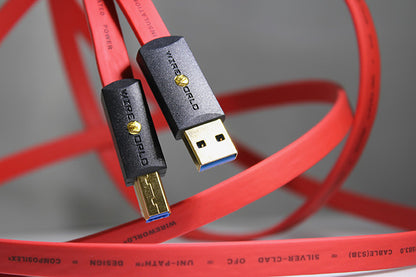 Wireworld Starlight 8 USB 3.1 C to C | House Of Stereo