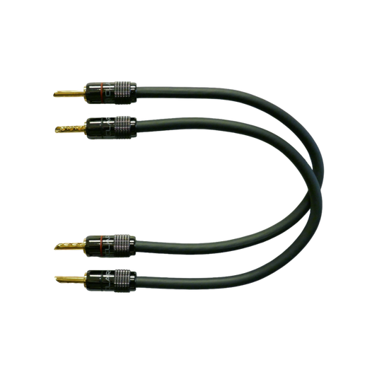 Clarus Cable Aqua MKII Speaker Jumper Pair