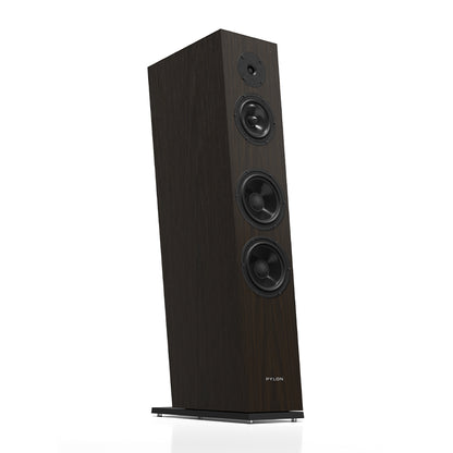 Pylon Audio Diamond 30 MKII