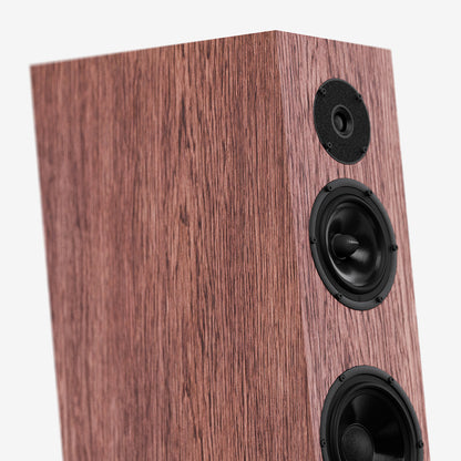 Pylon Audio Diamond Monitor 15 MKII