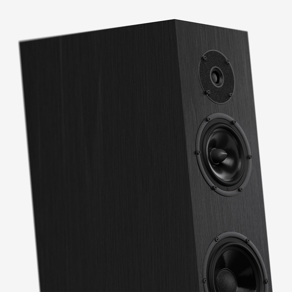 Pylon Audio Diamond Monitor 15 MKII
