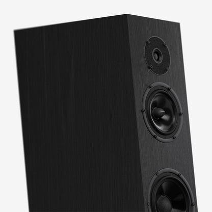 Pylon Audio Diamond Monitor 15 MKII