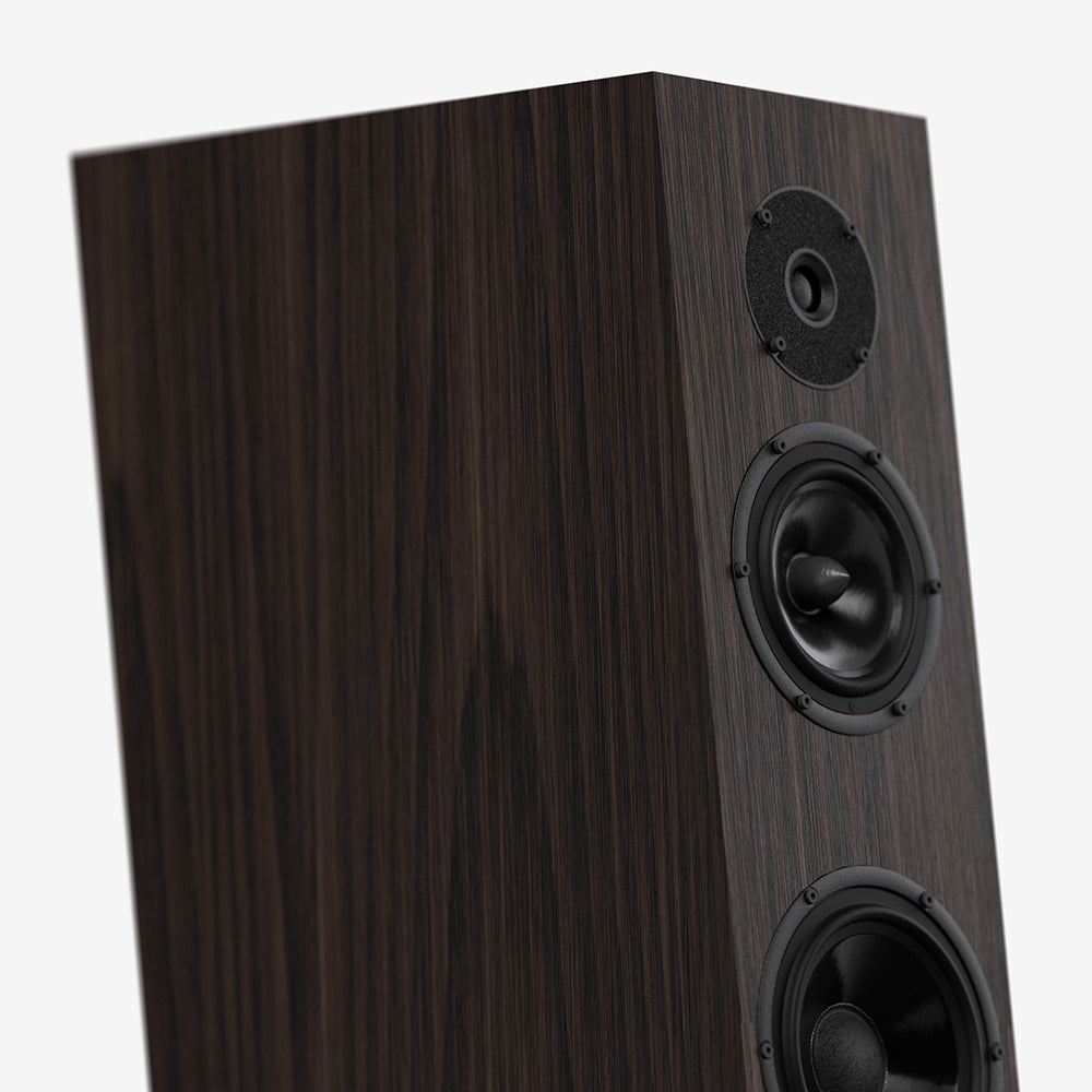 Pylon Audio Diamond Monitor 15 MKII