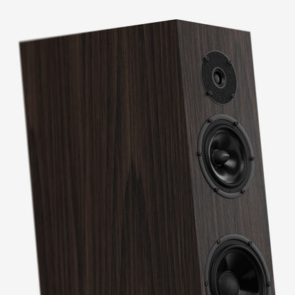 Pylon Audio Diamond Monitor 15 MKII