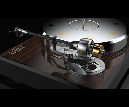 Acoustic Signature Double X Neo