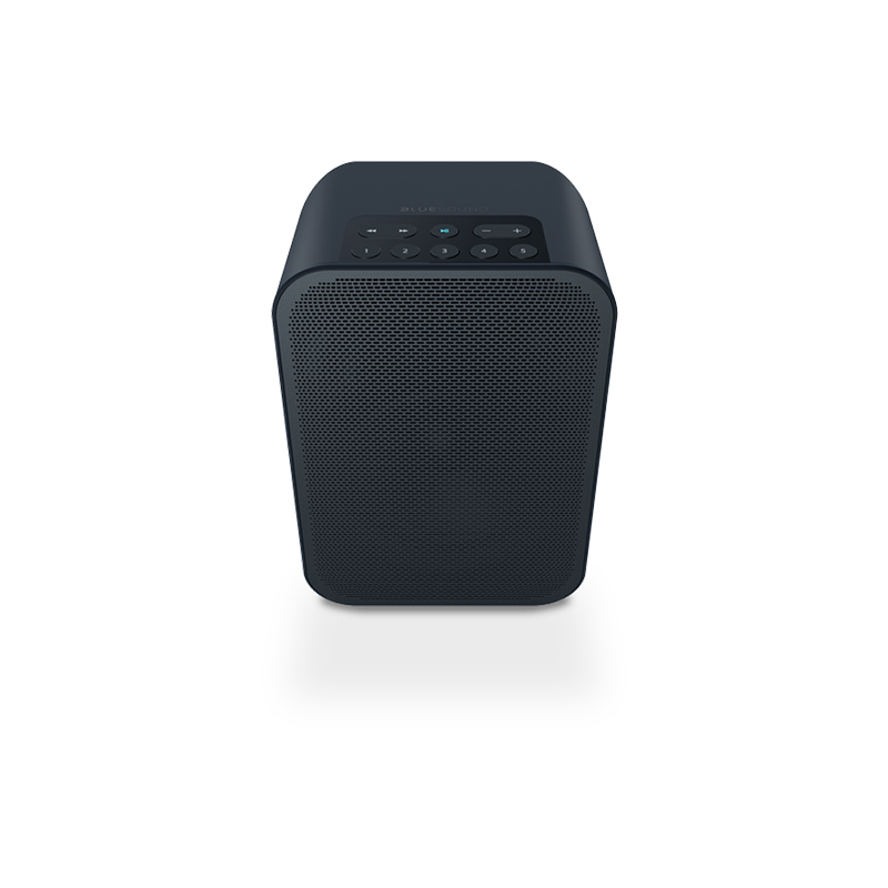 Bluesound Pulse Flex 2i