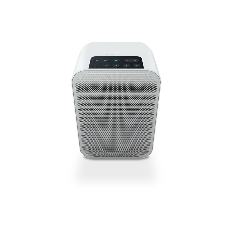 Bluesound Pulse Flex 2i
