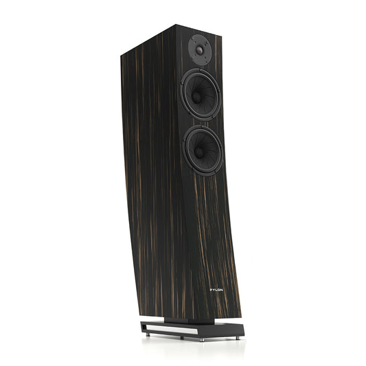Pylon Audio Jasper 25 MKII Active