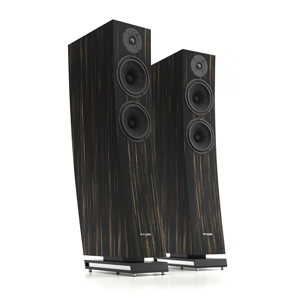 Pylon Audio Jasper 25 MKII Active