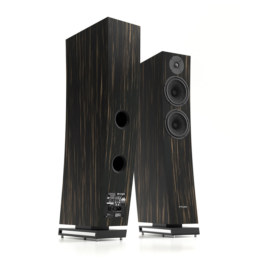 Pylon Audio Jasper 25 MKII Active