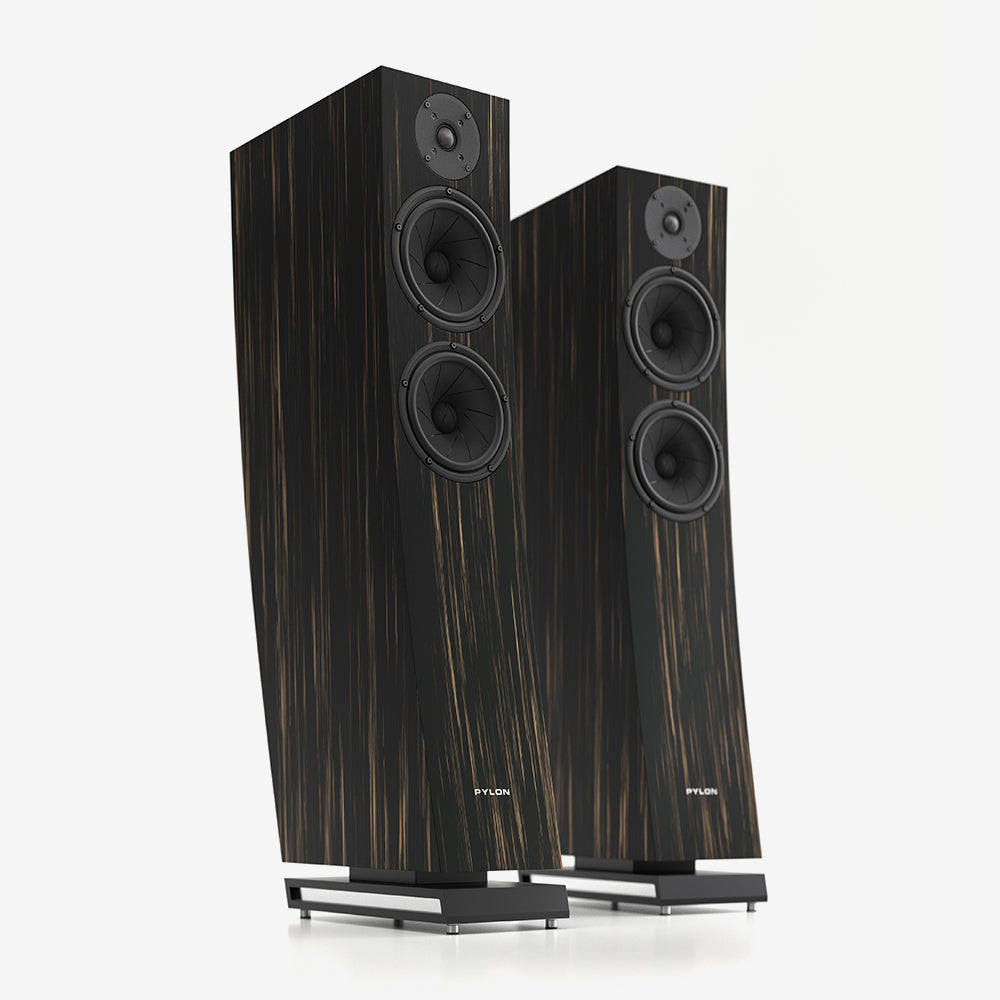 Pylon Audio Jasper 25 MKII Active