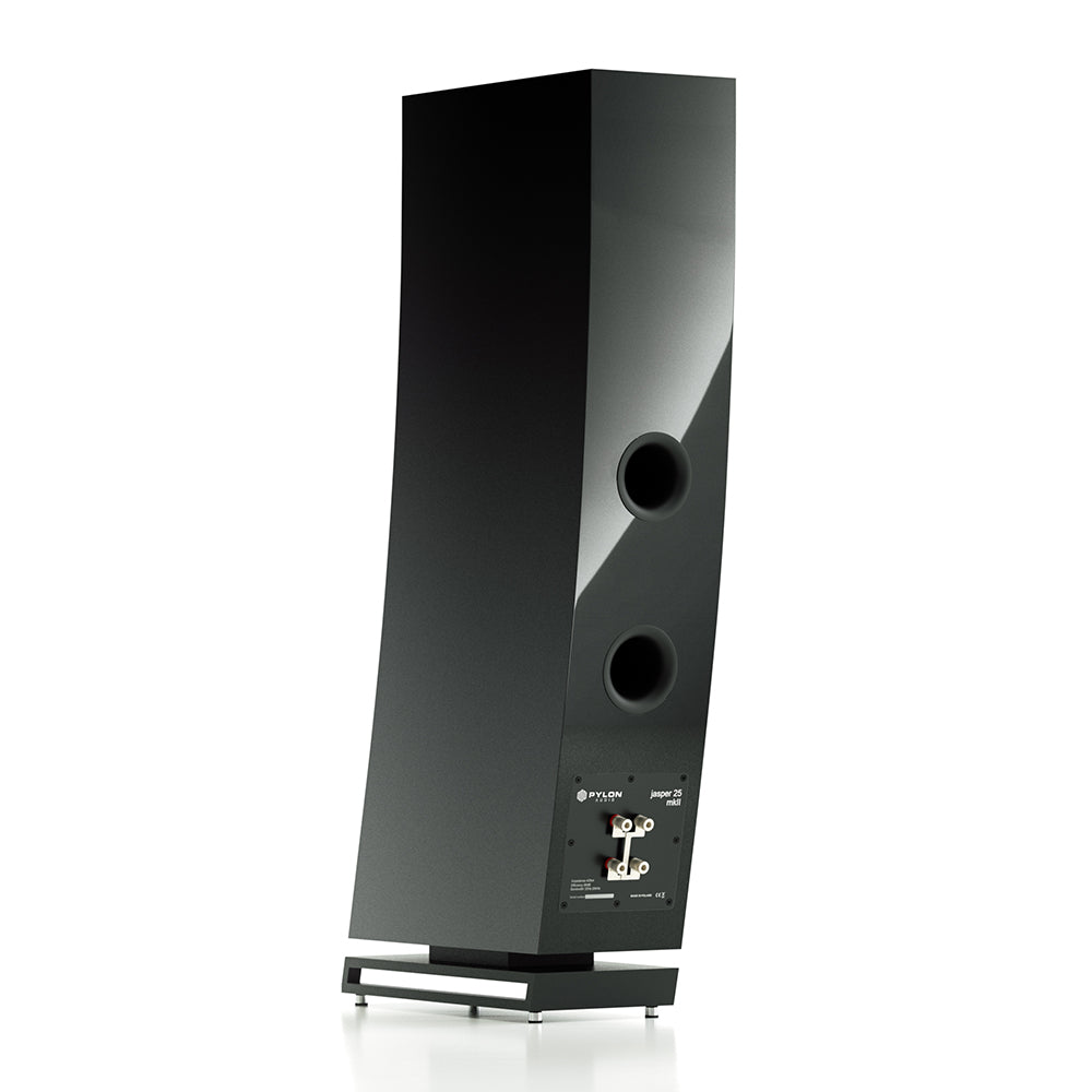 Pylon Audio Jasper 25 MKII