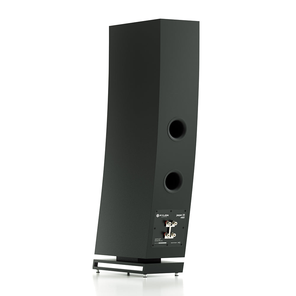 Pylon Audio Jasper 25 MKII