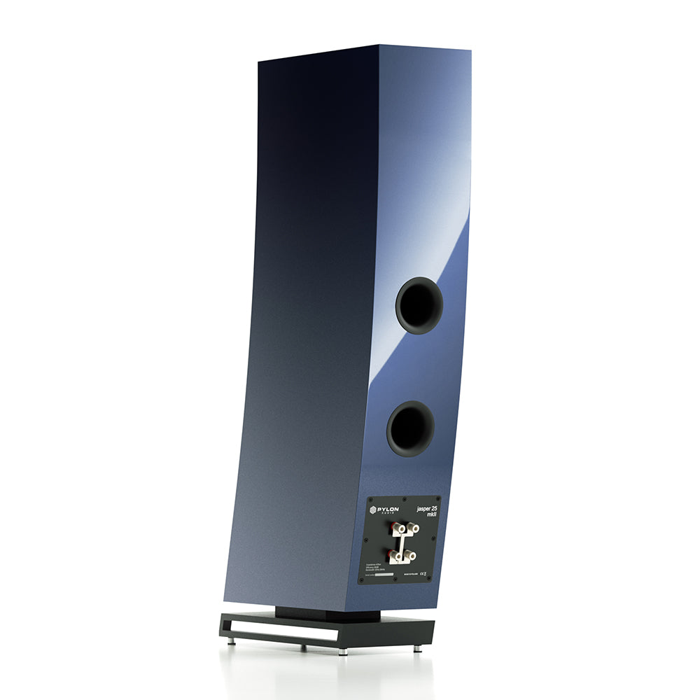 Pylon Audio Jasper 25 MKII