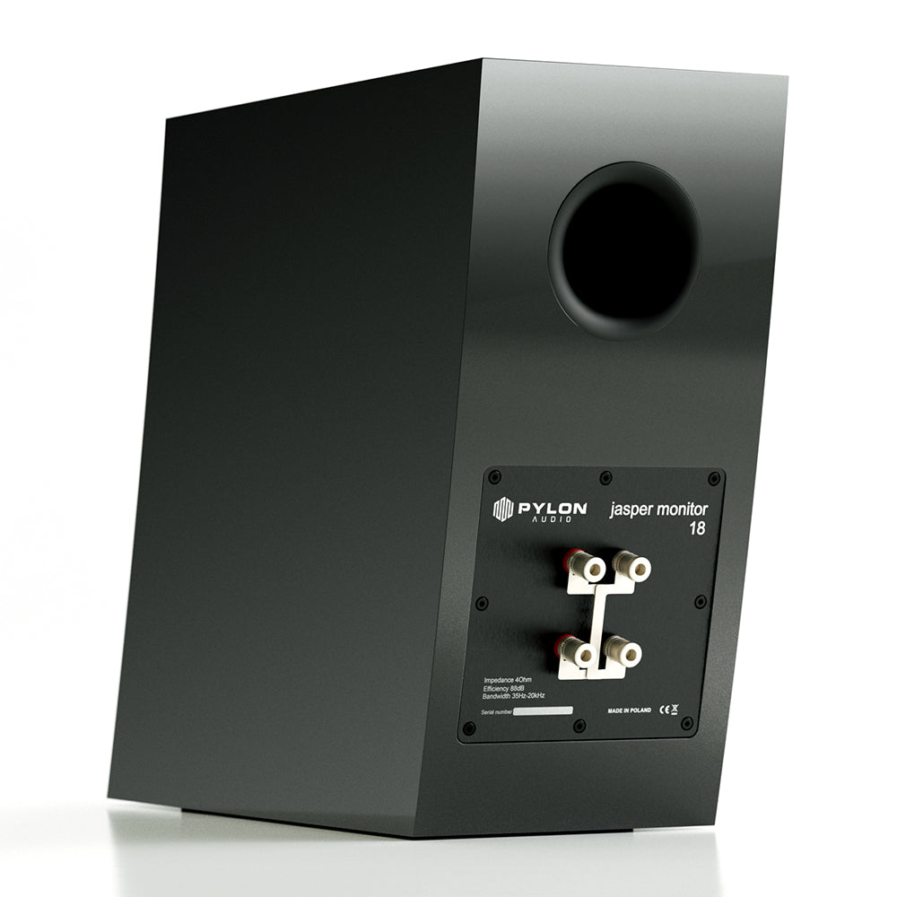 Pylon Audio Jasper Monitor 18