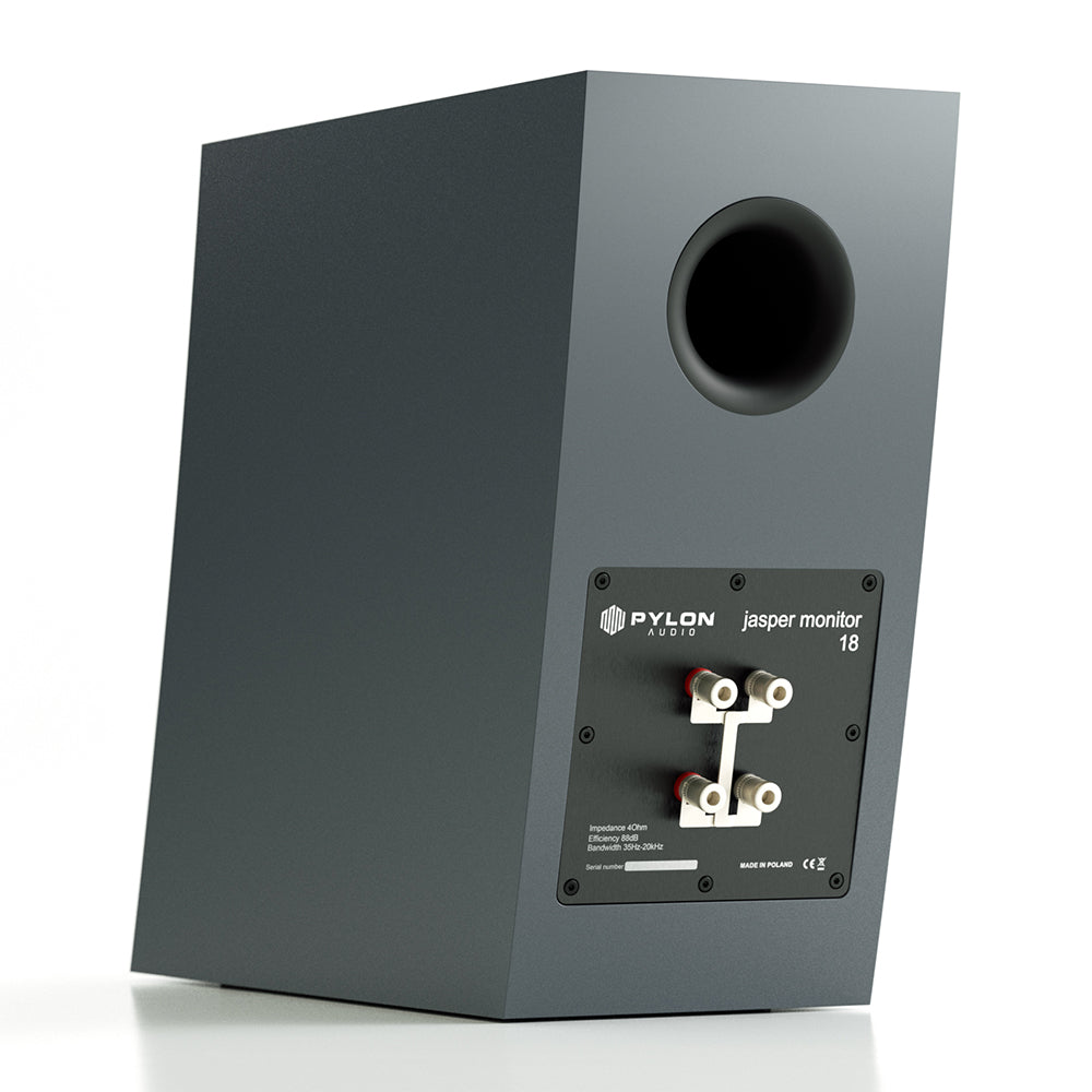 Pylon Audio Jasper Monitor 18