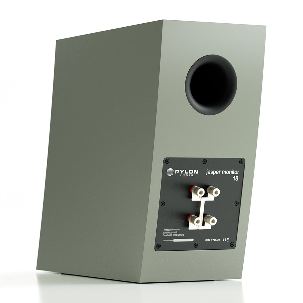 Pylon Audio Jasper Monitor 18