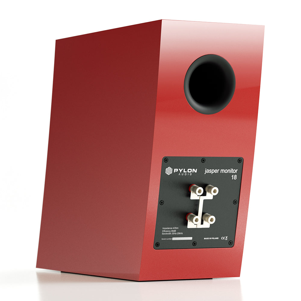 Pylon Audio Jasper Monitor 18