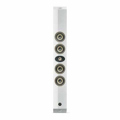 Focal On Wall 302