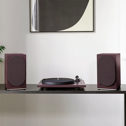 Triangle AIO TWIN Wi-Fi & Bluetooth Speaker