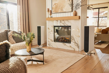 PS Audio Aspen FR10 Loudspeaker (Pair) manufacturer product photograph 3