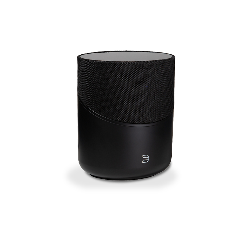 Bluesound Pulse M