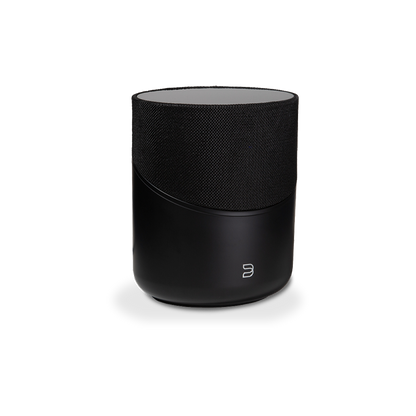 Bluesound Pulse M