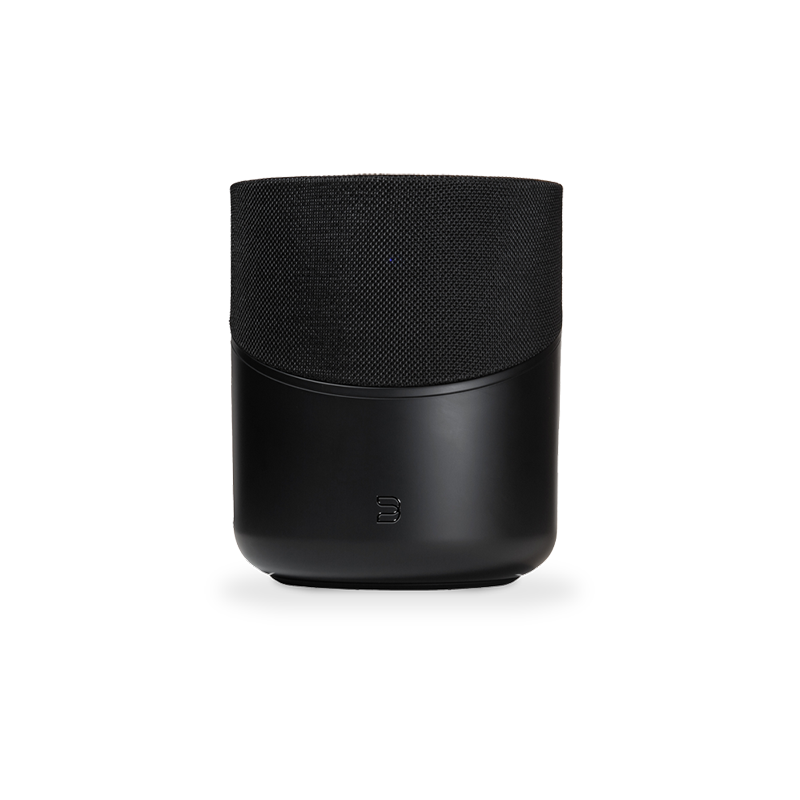 Bluesound Pulse M