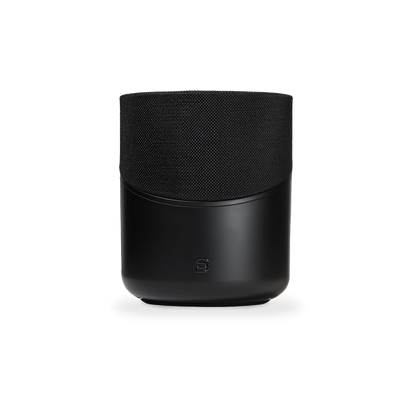 Bluesound Pulse M