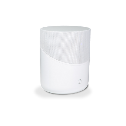Bluesound Pulse M