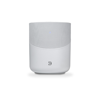 Bluesound Pulse M