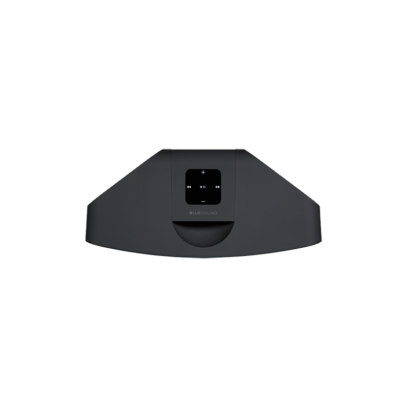 Bluesound Pulse Mini 2i