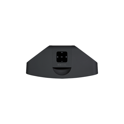 Bluesound Pulse Mini 2i