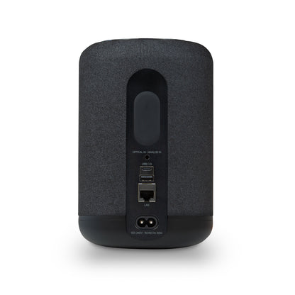 Bluesound Pulse Flex