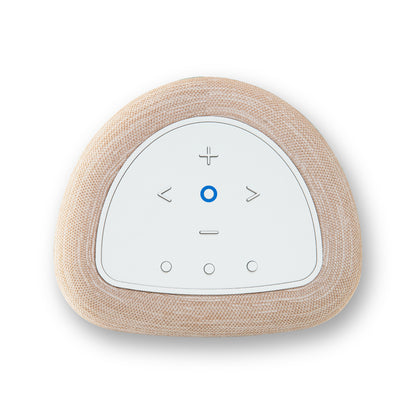 Bluesound Pulse Flex