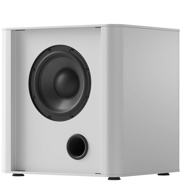 PIEGA PS 101 SUBWOOFER