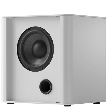 PIEGA PS 101 SUBWOOFER
