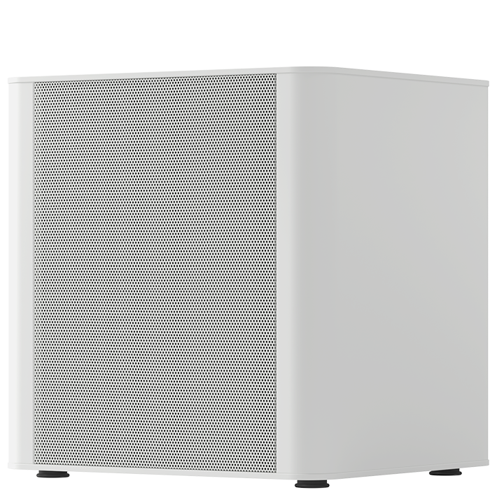 PIEGA PS 101 SUBWOOFER
