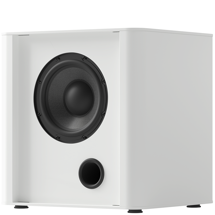 PIEGA PS 101 SUBWOOFER
