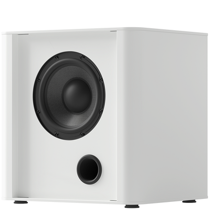 PIEGA PS 101 SUBWOOFER