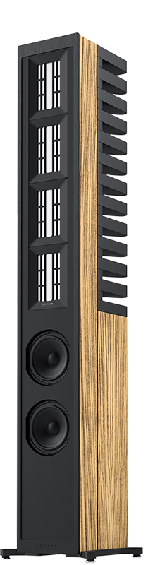 PIEGA Master Line Source 3