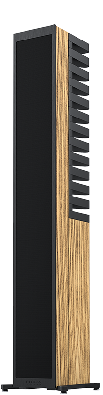 PIEGA Master Line Source 3