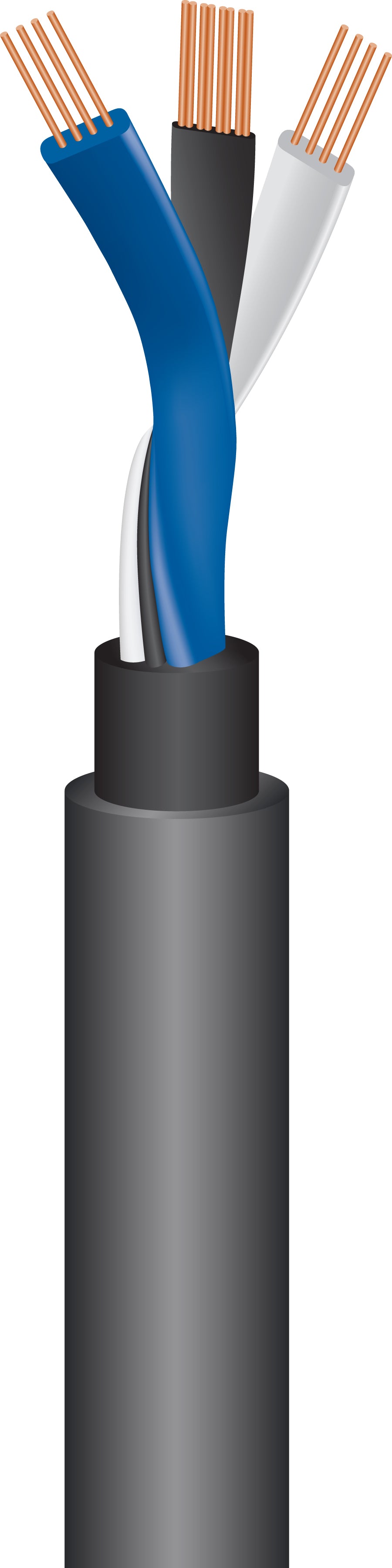 Wireworld Equinox 8 XLR Interconnects