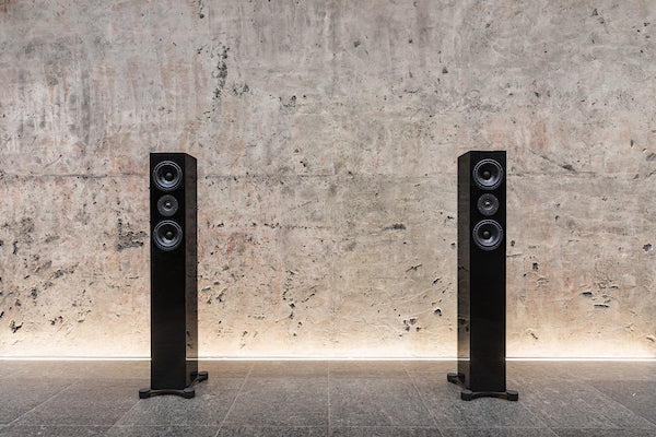 Credo Audio Switzerland EV1202 Reference Loudspeaker