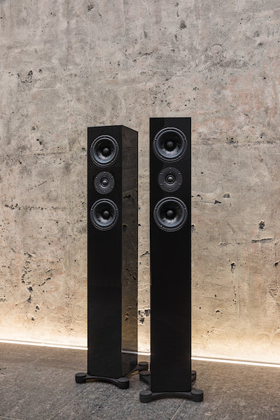 Credo Audio Switzerland EV1202 Reference Loudspeaker