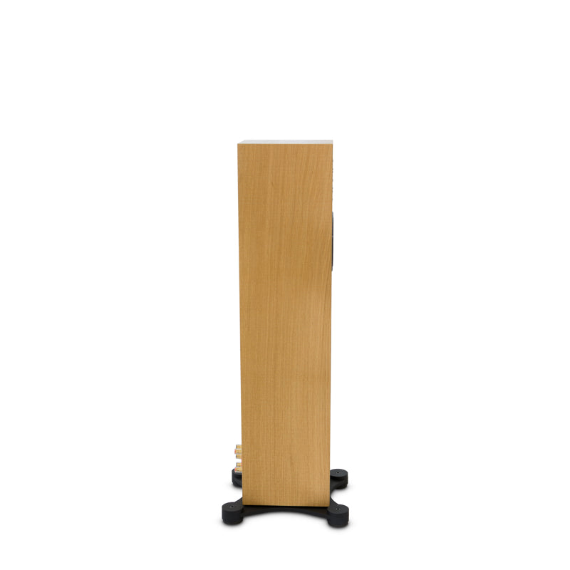 Credo Audio Switzerland EV900 Reference Shown in Rough Cut Finish 
