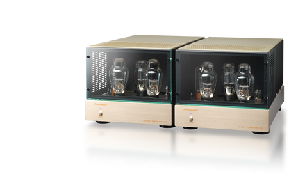 Phasemation MA-2000 Mono Tube Amplifier (Pair)