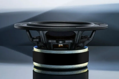 Pro-ject Speaker Box 15 DS2